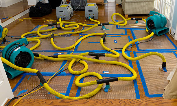 Professional Storm Water Damage Restoration technician working in Lobelville, TN
